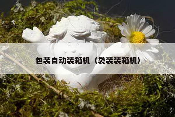 包装自动装箱机（袋装装箱机） - 新闻中心 - 1