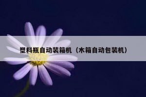 塑料瓶自动装箱机（木箱自动包装机）