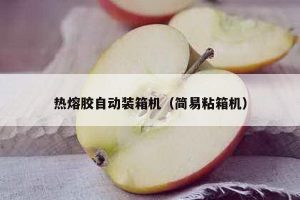 热熔胶自动装箱机（简易粘箱机）