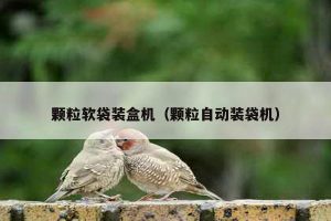 -颗粒软袋装盒机（颗粒自动装袋机）