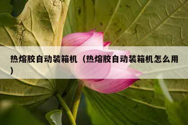 热熔胶自动装箱机（热熔胶自动装箱机怎么用）