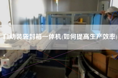 自动装袋封箱一体机(如何提高生产效率)