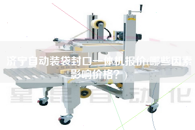 济宁自动装袋封口一体机报价(哪些因素影响价格)