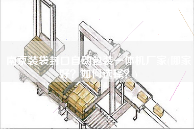 南京装袋封口自动包装一体机厂家(哪家好如何选择)