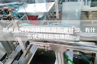 杭州高速自动装箱机简介(是什么、有什么优势和应用场景)