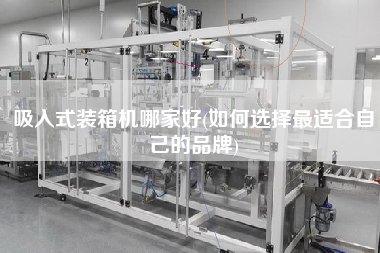 吸入式装箱机哪家好(如何选择z适合自己的品牌)