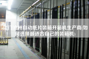 江门沧州自动纸片装箱开箱机生产商(如何选择更适合自己的装箱机)