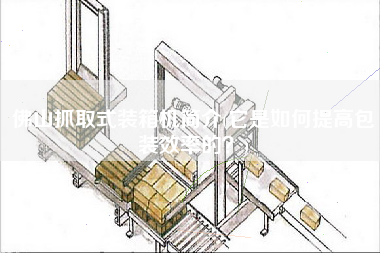 佛山抓取式装箱机简介(它是如何提高包装效率的)