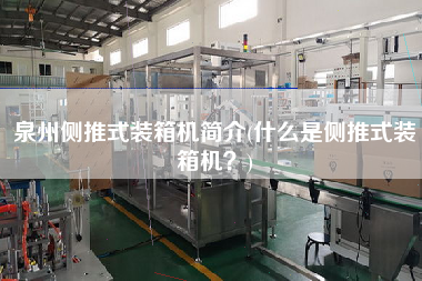 泉州侧推式装箱机简介(什么是侧推式装箱机？)