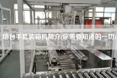 烟台手套装箱机简介(你需要知道的一切)