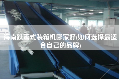 海南跌落式装箱机哪家好(如何选择更适合自己的品牌)