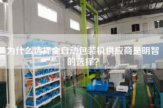 为什么选择全自动包装机供应商是明智的选择？