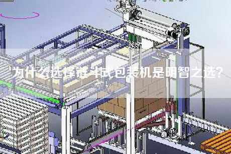 为什么选择链斗式包装机是明智之选？