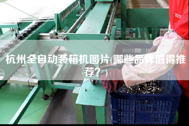 杭州全自动装箱机图片(哪些品牌值得推荐？)