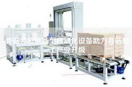香菇装袋机新型自动化设备助力香菇加工产业升级