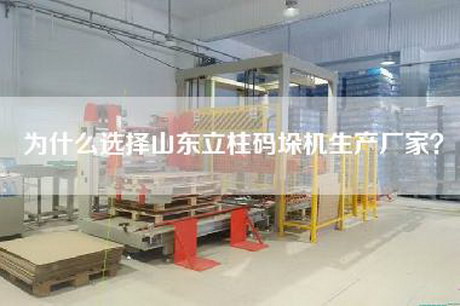 为什么选择山东立柱码垛机生产厂家？