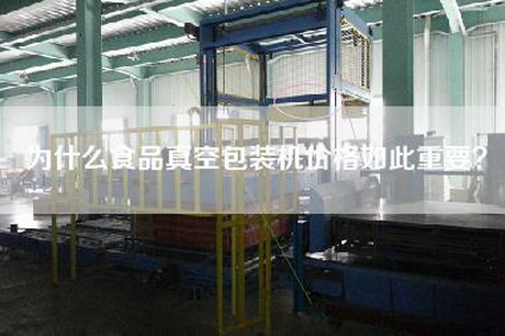 为什么食品真空包装机价格如此重要？