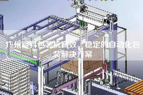 广州路科包装机高效、稳定的自动化包装解决方案