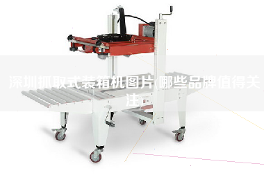 深圳抓取式装箱机图片(哪些品牌值得关注)