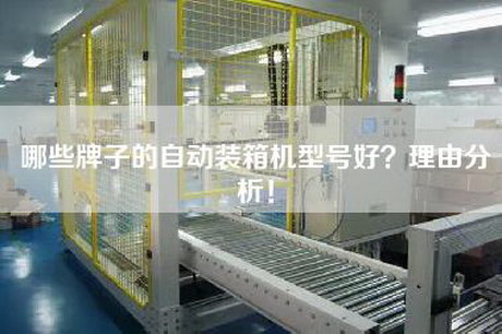 哪些牌子的自动装箱机型号好？理由分析！