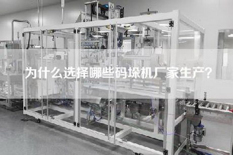 为什么选择哪些码垛机厂家生产？