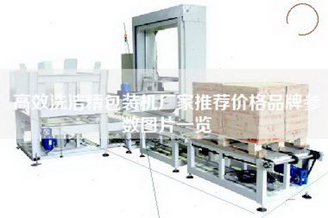 高效洗洁精包装机厂家推荐价格品牌参数图片一览