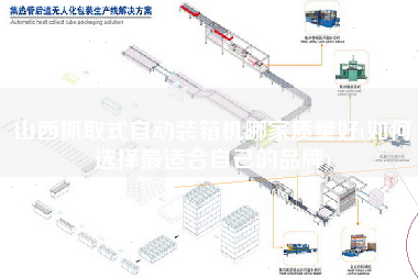 山西抓取式自动装箱机哪家质量好(如何选择z适合自己的品牌)
