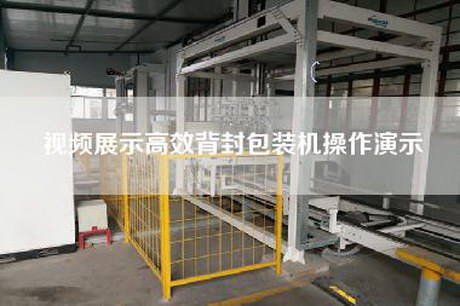 视频展示高效背封包装机操作演示