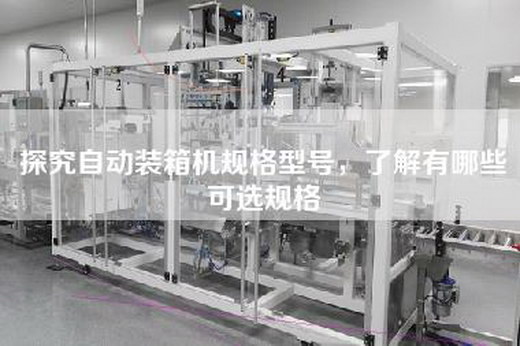 探究自动装箱机规格型号，了解有哪些可选规格