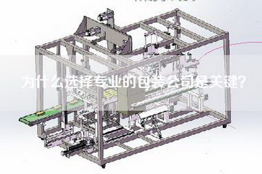 为什么选择专业的包装公司是关键？