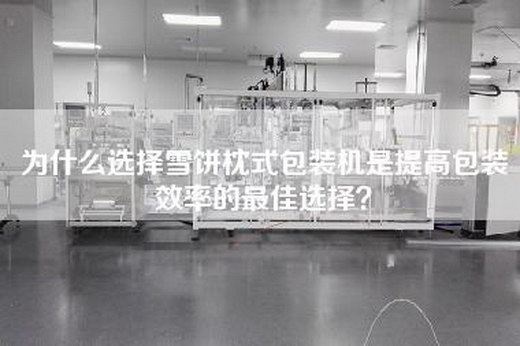 为什么选择雪饼枕式包装机是提高包装效率的最佳选择？