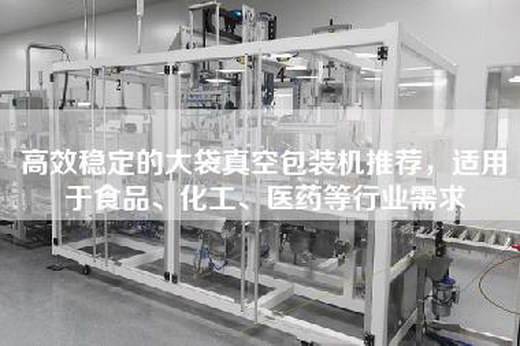 高效稳定的大袋真空包装机推荐，适用于食品、化工、医药等行业需求