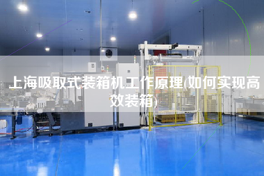 上海吸取式装箱机工作原理(如何实现高效装箱)