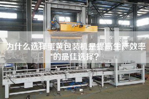 为什么选择蛋黄包装机是提高生产效率的最佳选择？