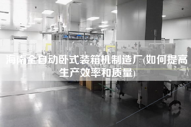 海南全自动卧式装箱机制造厂(如何提高生产效率和质量)