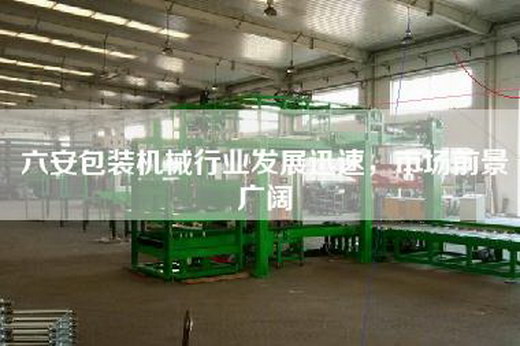 六安包装机械行业发展迅速，市场前景广阔