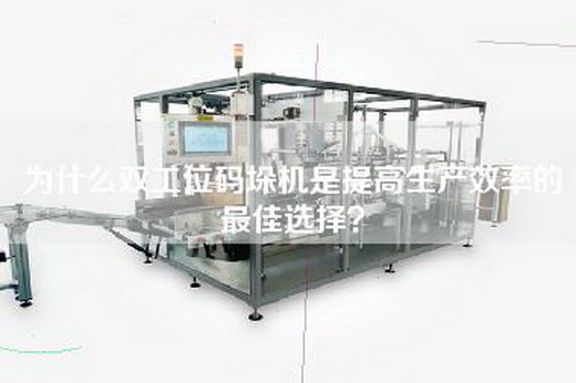 为什么双工位码垛机是提高生产效率的最佳选择？