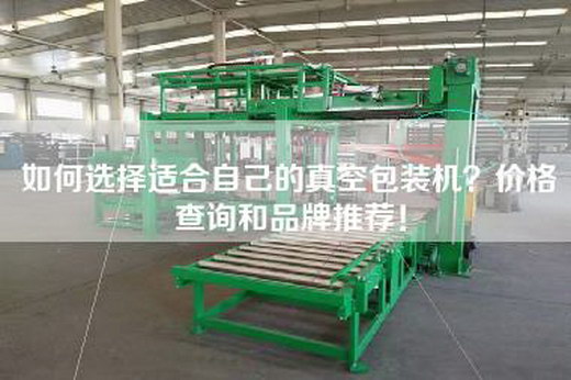 如何选择适合自己的真空包装机？价格查询和品牌推荐！