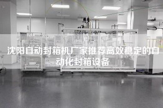 沈阳自动封箱机厂家推荐高效稳定的自动化封箱设备