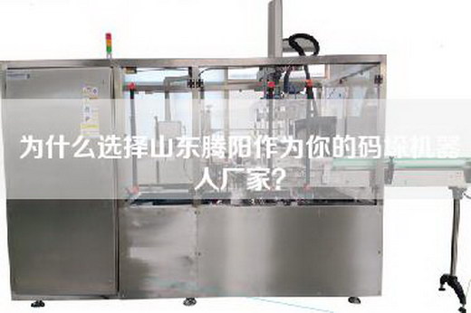 为什么选择山东腾阳作为你的码垛机器人厂家？