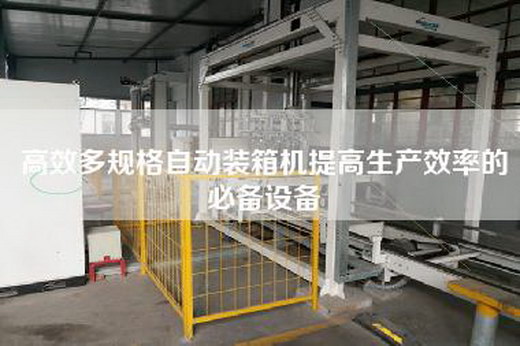 高效多规格自动装箱机提高生产效率的必备设备