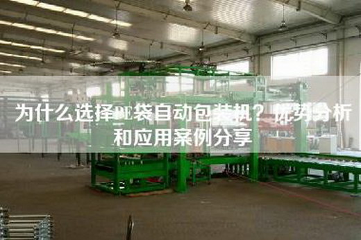 为什么选择PE袋自动包装机？优势分析和应用案例分享