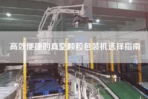 高效便捷的真空颗粒包装机选择指南