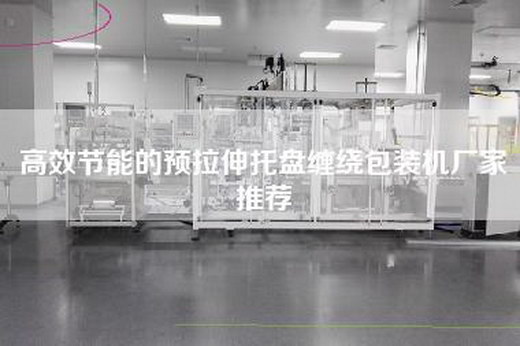 高效节能的预拉伸托盘缠绕包装机厂家推荐