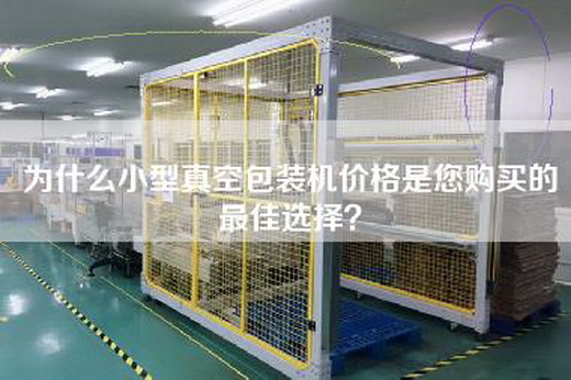 为什么小型真空包装机价格是您购买的最佳选择？