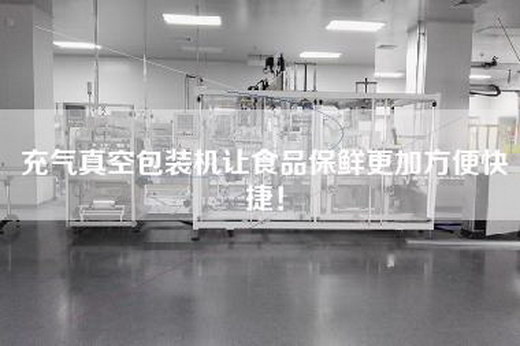 充气真空包装机让食品保鲜更加方便快捷！