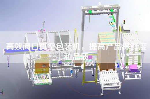 高效阀口真空包装机，提高产品保鲜度和品质