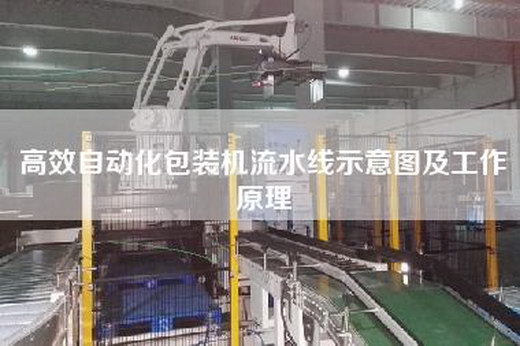 高效自动化包装机流水线示意图及工作原理