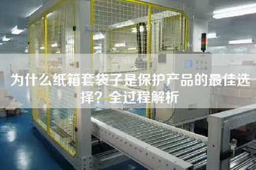 为什么纸箱套袋子是保护产品的最佳选择？全过程解析
