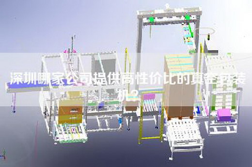 深圳哪家公司提供高性价比的真空包装机？